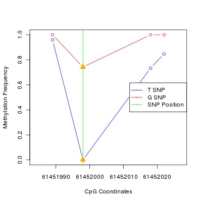 Allele Specific Methylation Frequency Diagram for chr20 61451998 SNP.