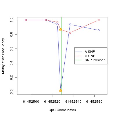 Allele Specific Methylation Frequency Diagram for chr20 61452529 SNP.