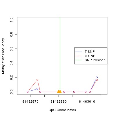 Allele Specific Methylation Frequency Diagram for chr20 61462991 SNP.