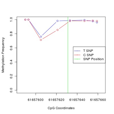 Allele Specific Methylation Frequency Diagram for chr20 61657631 SNP.