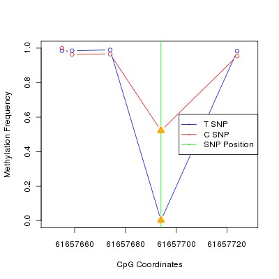 Allele Specific Methylation Frequency Diagram for chr20 61657694 SNP.