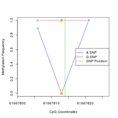 Allele Specific Methylation Frequency Diagram for chr20 61667814 SNP.