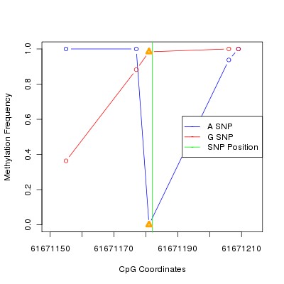 Allele Specific Methylation Frequency Diagram for chr20 61671182 SNP.
