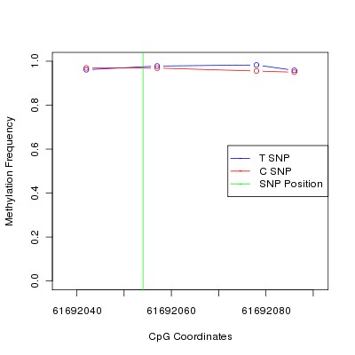 Allele Specific Methylation Frequency Diagram for chr20 61692054 SNP.