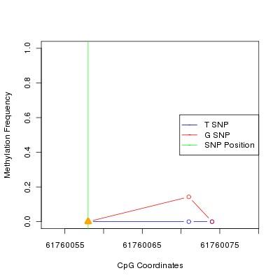 Allele Specific Methylation Frequency Diagram for chr20 61760058 SNP.
