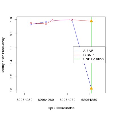 Allele Specific Methylation Frequency Diagram for chr20 62064281 SNP.