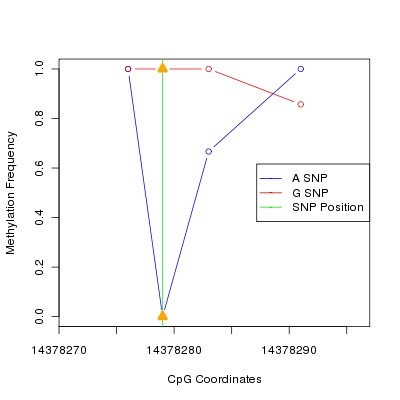 Allele Specific Methylation Frequency Diagram for chr21 14378279 SNP.