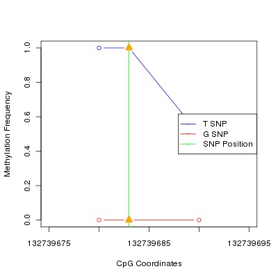 Allele Specific Methylation Frequency Diagram for chr2 132739683 SNP.