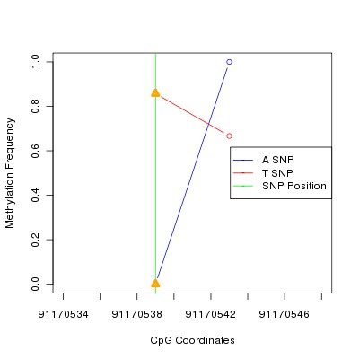 Allele Specific Methylation Frequency Diagram for chr2 91170539 SNP.