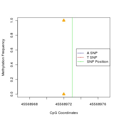 Allele Specific Methylation Frequency Diagram for chr3 45568973 SNP.